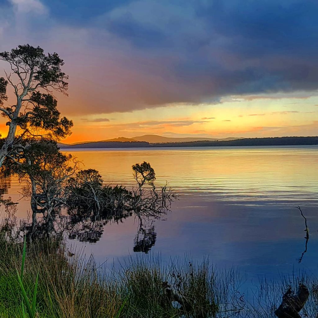 things to do in denmark - wilson inlet